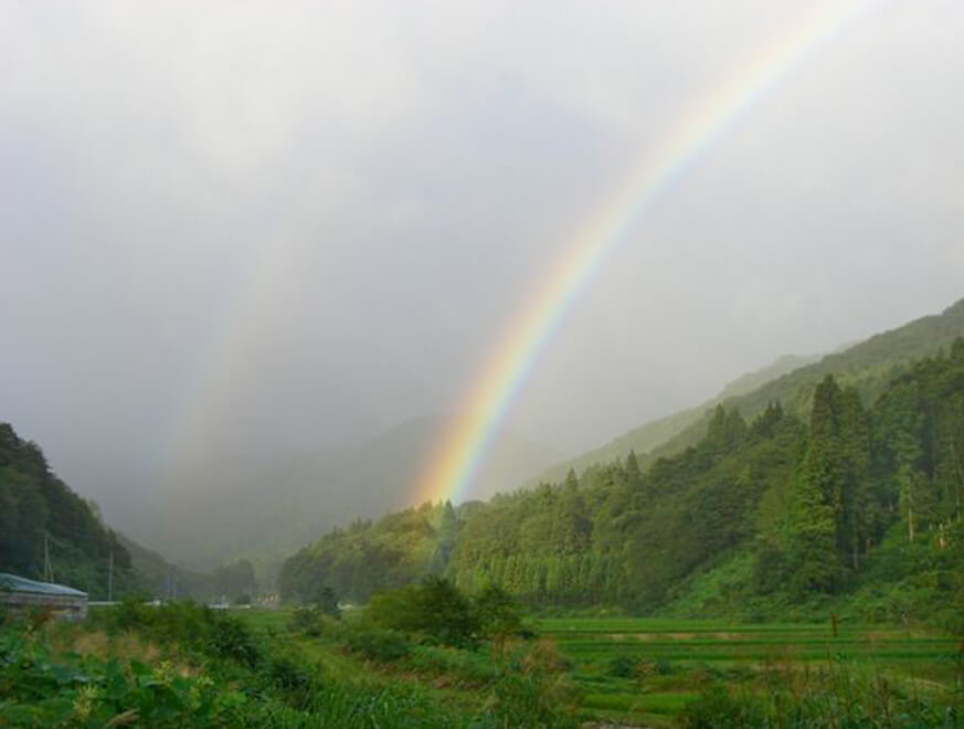 医院概要